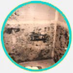 black mold removal mold removal near me - Pro Environmental Testing is specialize in MOLD INSPECTION, MOLD TESTING, and MOLD REMOVAL. Your trusted partner for mold solutions in Studio City, Los Angeles, California