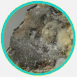 mold-remediation-mold testing black mold testing near me